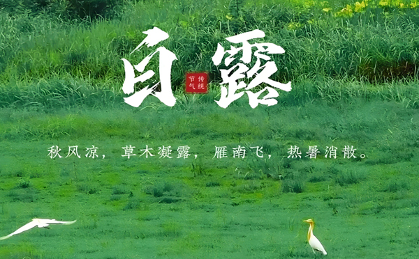 江孜白露清新，新创洁与您共享洁净之美
